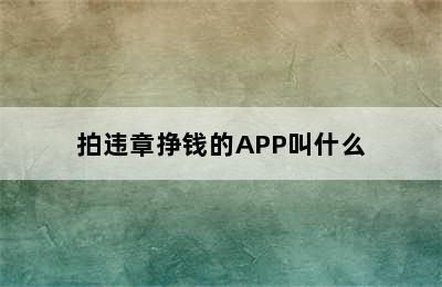 拍违章挣钱的APP叫什么