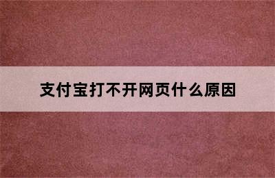 支付宝打不开网页什么原因