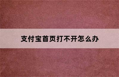 支付宝首页打不开怎么办