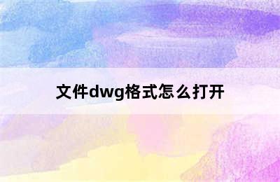 文件dwg格式怎么打开