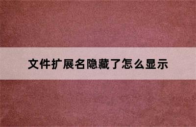 文件扩展名隐藏了怎么显示