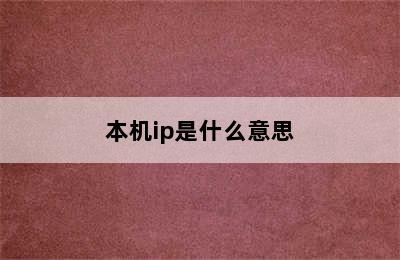 本机ip是什么意思