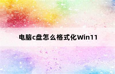 电脑c盘怎么格式化Win11