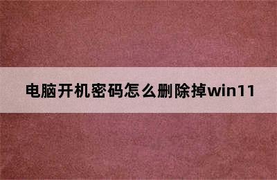 电脑开机密码怎么删除掉win11