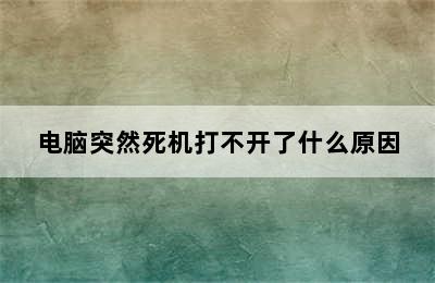 电脑突然死机打不开了什么原因