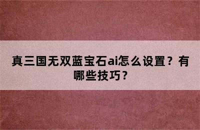 真三国无双蓝宝石ai怎么设置？有哪些技巧？