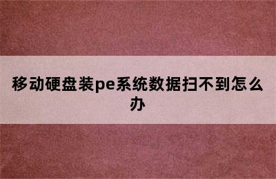 移动硬盘装pe系统数据扫不到怎么办