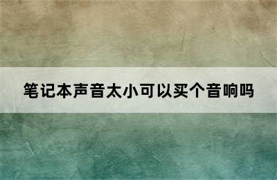 笔记本声音太小可以买个音响吗