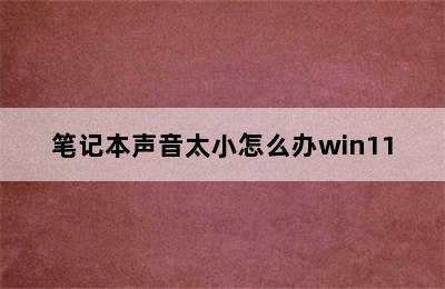 笔记本声音太小怎么办win11