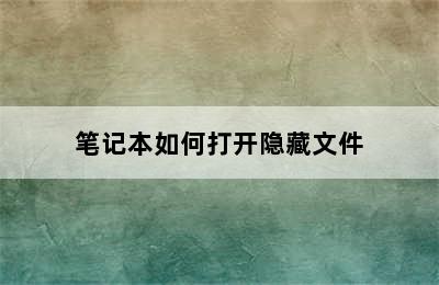 笔记本如何打开隐藏文件