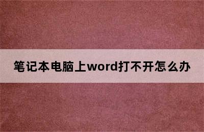 笔记本电脑上word打不开怎么办