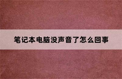 笔记本电脑没声音了怎么回事