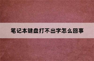 笔记本键盘打不出字怎么回事