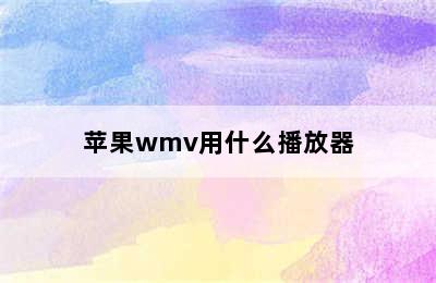 苹果wmv用什么播放器