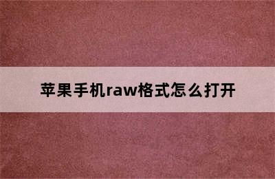 苹果手机raw格式怎么打开