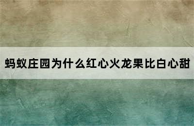 蚂蚁庄园为什么红心火龙果比白心甜