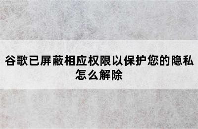 谷歌已屏蔽相应权限以保护您的隐私怎么解除