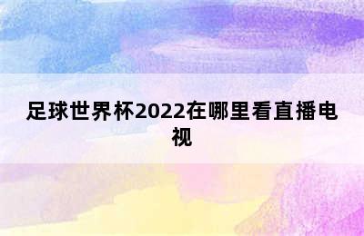 足球世界杯2022在哪里看直播电视