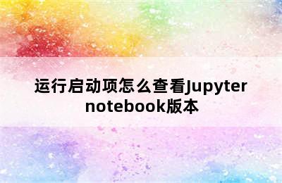 运行启动项怎么查看Jupyternotebook版本