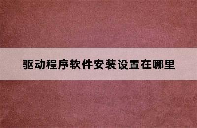 驱动程序软件安装设置在哪里