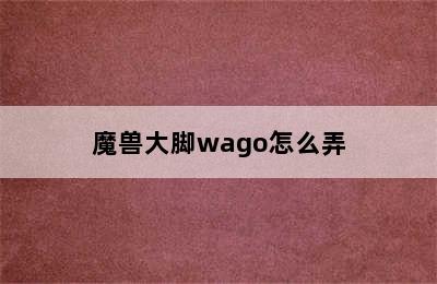 魔兽大脚wago怎么弄